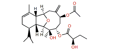 Cladielloide B